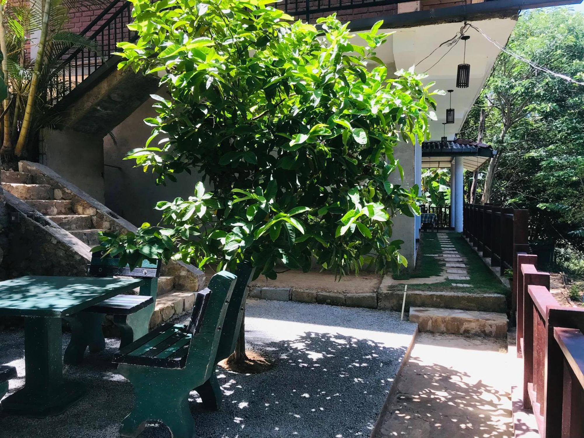 Ridge View Guest House -Элла Экстерьер фото